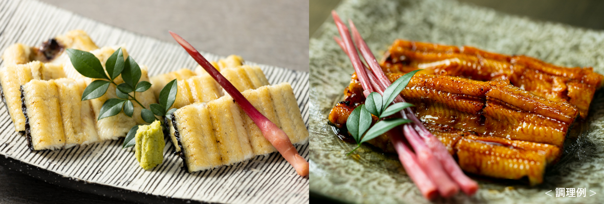 うなぎギフト 城山麦鰻 <白焼き>